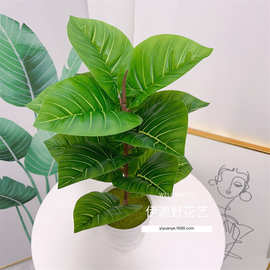 假花绿植盆栽墙面装饰仿真植物叶子背景墙插花配材绿萝叶万年青