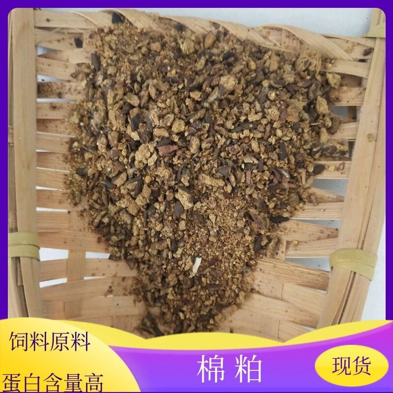 Feed-grade cotton meal is a plant protein feed raw material that can replace soybean meal as a feed ingredient for cattle, sheep, pigs, and aquatic animals in large quantities Feed-grade cotton meal is a plant protein feed raw material that can replace soybean meal as a feed ingredient for cattle, sheep, pigs, and aquatic animals in large quantities