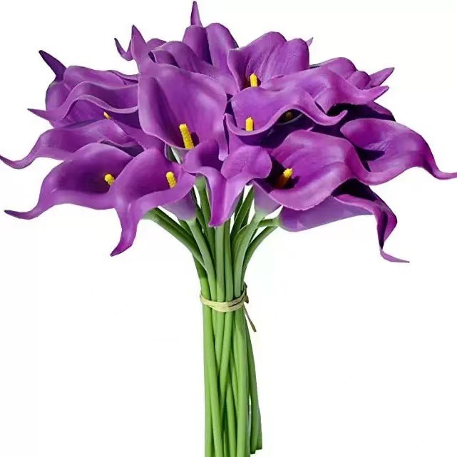 보라색 노란색 하트