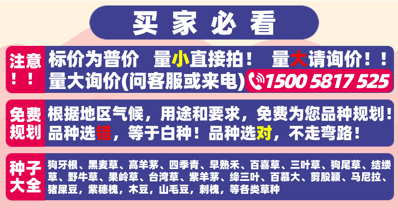 草籽-买家必看