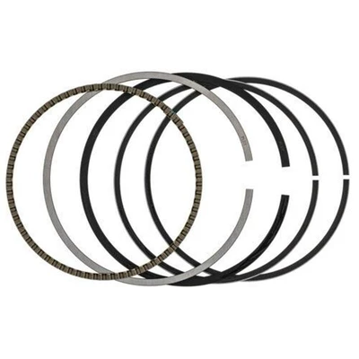Piston, piston ring, piston pin ring kit suitable