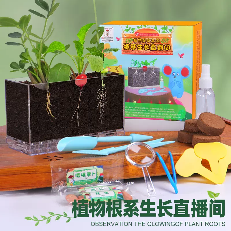 科学小实验套装植物根系种植观察窗小学生儿童手工diy材料包玩具