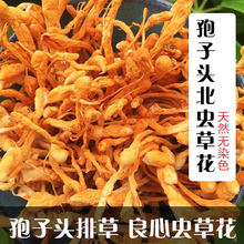 虫草花干货虫草花400g汤包料广东鸡煲汤材料孢子头金虫草菇