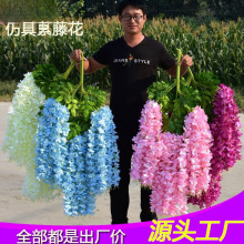 �羳���ٻ� ��c������֦ ��픾W�t�L���bٻ��̈���������