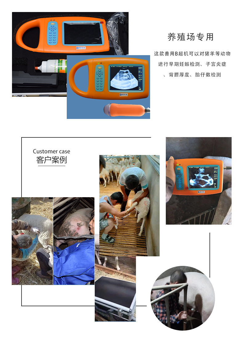 猪羊用B超机产品详情
