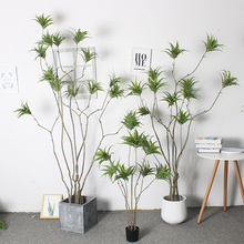 ¿沨˹ݘɏͷֲ쾰ҾӾ^ֲl