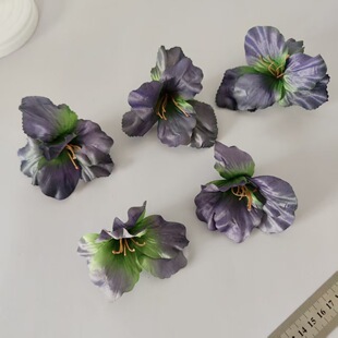 �͹���ɫ���m���^�������滨�����zӰDIY�^Wʿñ�lh���b�