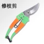 园林修剪果树整枝剪修枝剪