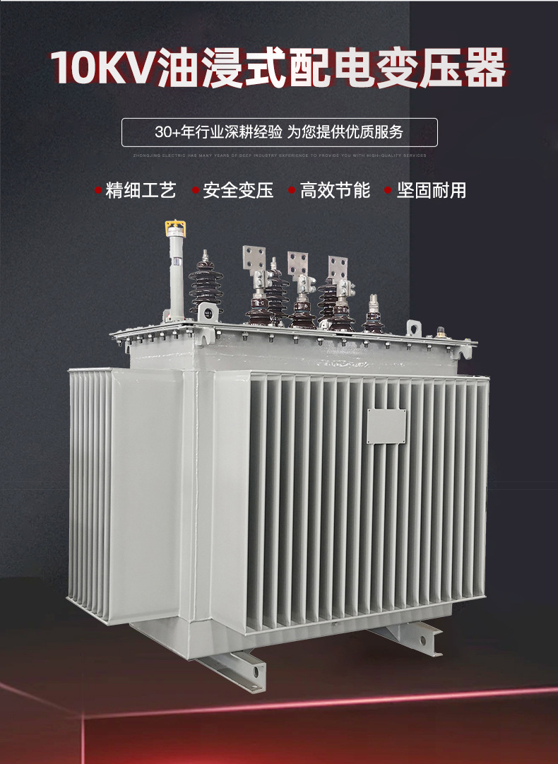 10kV油浸式配电变压器_02