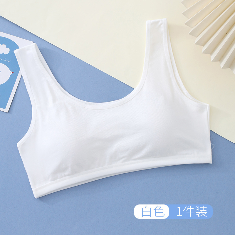 화이트