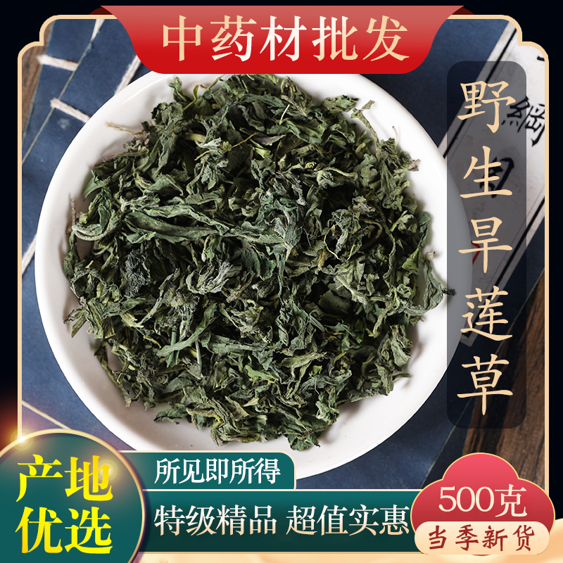 材野生旱莲草5g克正旱连草墨旱莲可搭女贞子何首乌