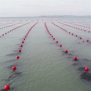 水上工程施工拦截警示浮球 景区湖泊穿绳串连景观浮球