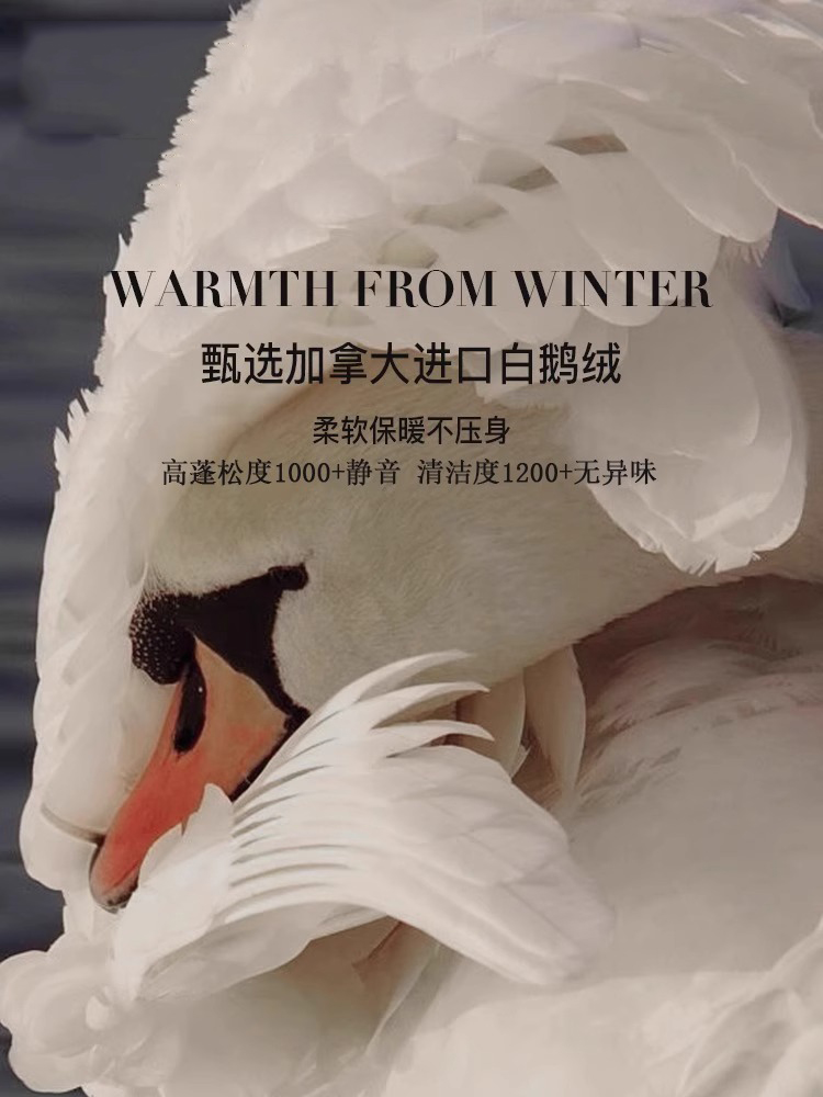 ?加拿大高奢羽绒被98白鹅绒冬被加厚保暖酒店被芯子母喜被春秋被