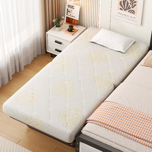 Single Hotel Extra Bed, Folding Bed, Office Bed, Guesthouse Rental, Companion Bed, Portable Folding Bed, Collapsible