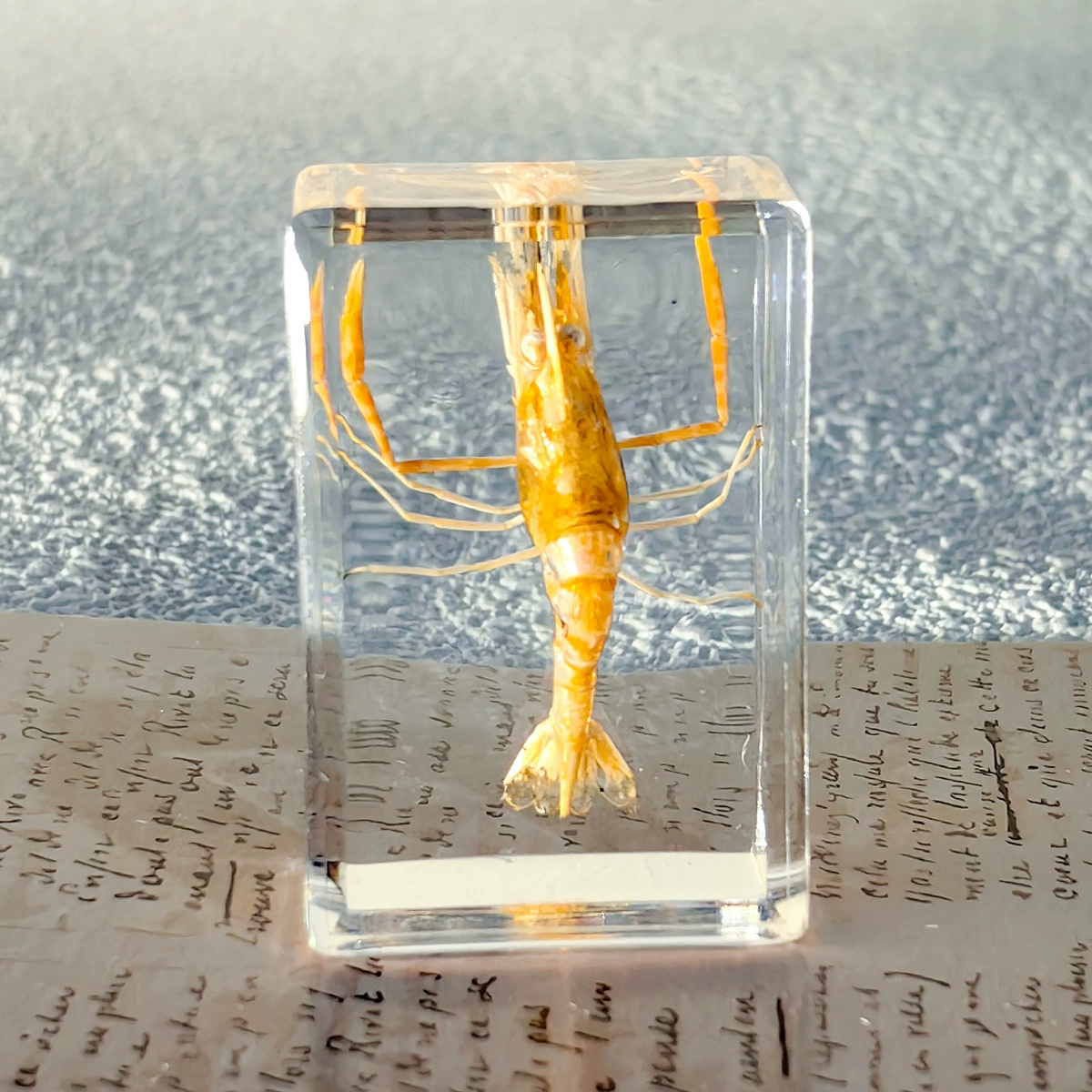 Настоящий образец насекомого в смоле, прозрачная кристальная клей Amber, скорпион, паук, трахинядий кроссовер декоративный