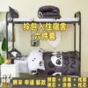 Panda Beibei KS