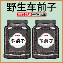 ܇ǰ����ș����Ʒ��Ş����ș܇ǰ�ӷ�܇ǰ�Ӳ�܇ǰ�Ѻ���������ˮ