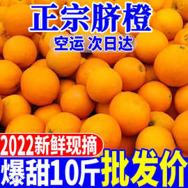 橙子批发【爆甜】新鲜脐橙新鲜当季水果薄皮整箱非冰糖橙赣南脐橙