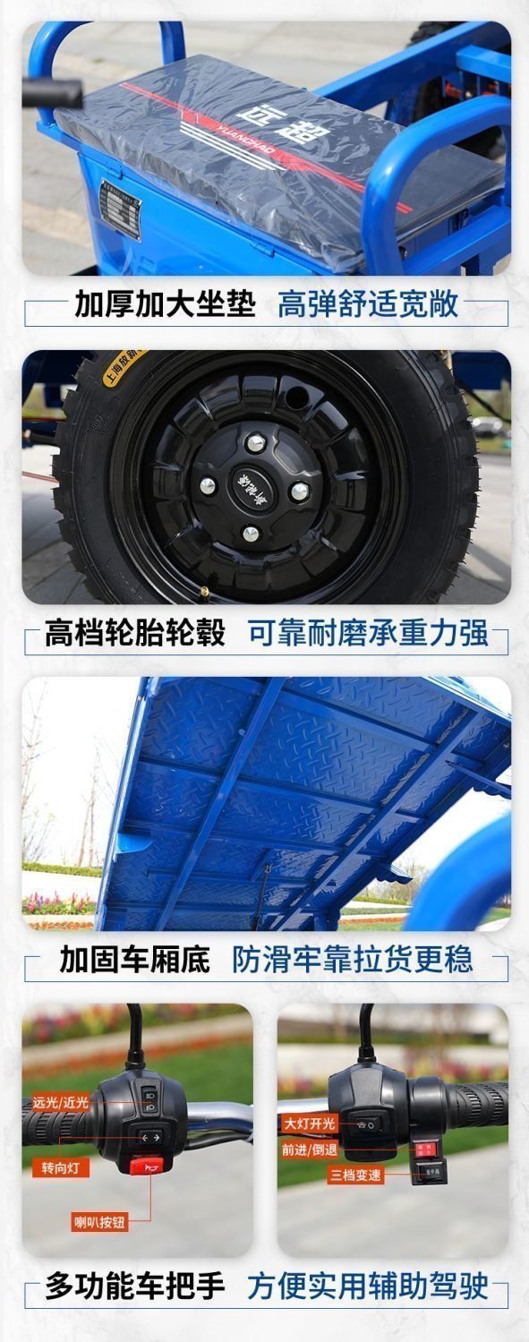 Electric Tricycle for Cargo, Delivery, Farm Use, Adult