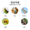 Plug -in splash -proof outerotic peony Parrine bird pearl embroidered bird bow top Universal iron wire ornamental bird cage