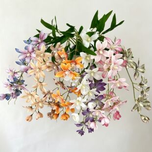���滨3DС�n�m�Ƶ��b�ˇƷ��Y�ò���·�����Ź��T��c�ٻ�