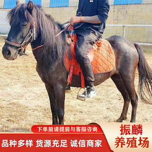 ���tɫ�T���R�����u���^�����R���R1-6�q���Rһƥ