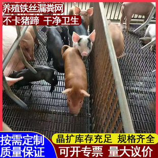 ̼�С�i���������ʾWĸ�i�a��©�S�W��\���\䁵׾W�B�i�F�z�W