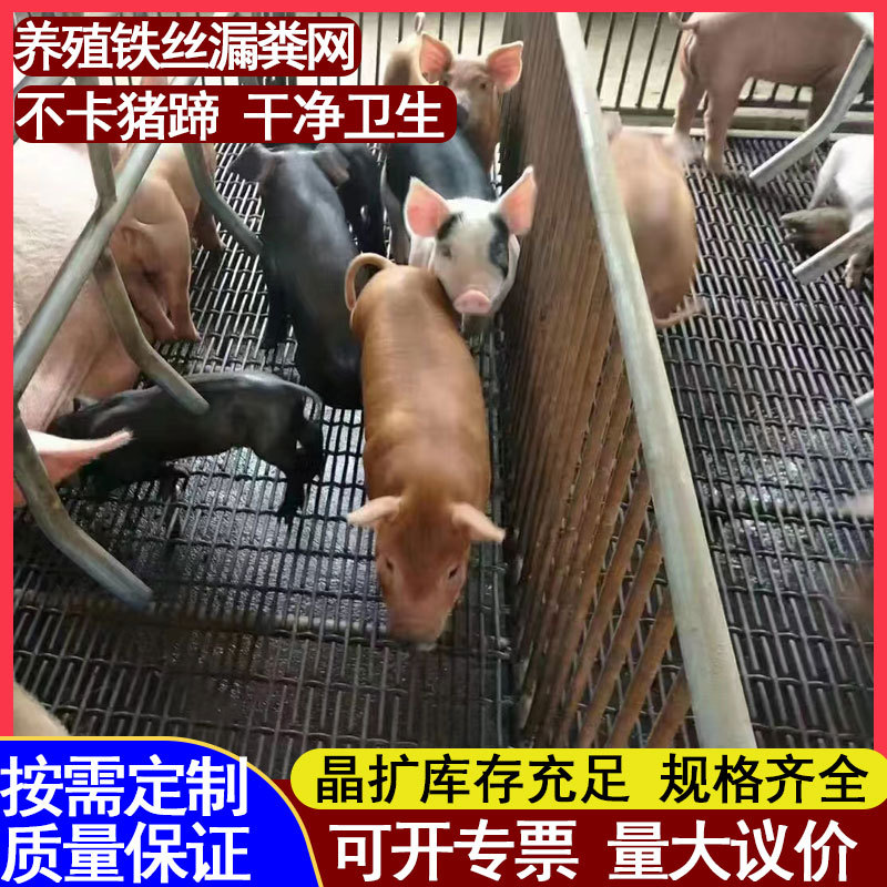 碳钢小猪保育床育肥网母猪产床漏粪网镀锌狗笼铺底网养猪铁丝网