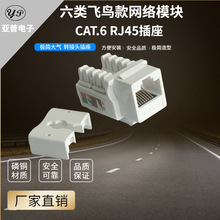 �w�B���տ����keystone��������Ϣ��X�W�j�W��rj45cat6���ģ�K