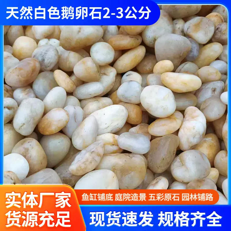 天然白色鹅卵石2-3公分园林庭院铺路碎石盆栽鱼缸装饰用白色石子