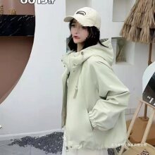 2025�_�h���¿���̿����״����Bñ���e�ٴ�ɊA������