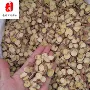 红皮地摊中药材原料甘草