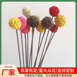 �b� ����������� �������ϸɻ�··ͨ diy�ɻ�ˇ�g�����l