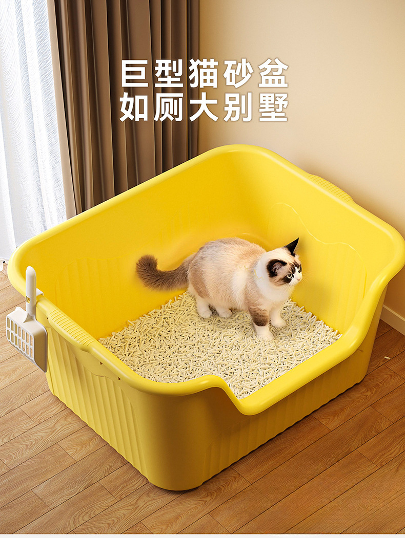 详情图