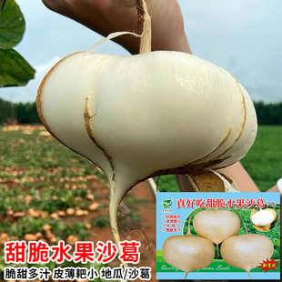 ���ˮ��ɳ��N������߮a�������ϷN���Rɽ�عϛ����N���߲˷N��