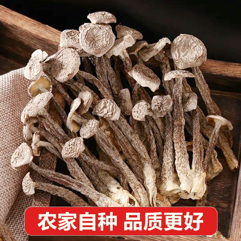 鹿の角茸乾物 特級 500g 鹿の角茸 農場食用菌 福建古田高山茸|undefined