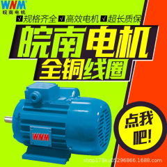皖南電機YY-100L-2 3kw単相非同期モーター単相分馬力モーター15kw 18kw