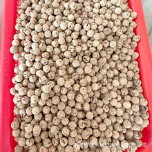 ���ڃȺ���ȻܛľС����С�� ���|�É����L���p����ܛľ�A��10mm