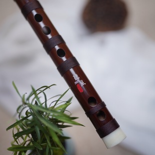  �L�Ʒ�ֹ���؛�����ϵ��Ӹߙn�M�ѿ������I�������