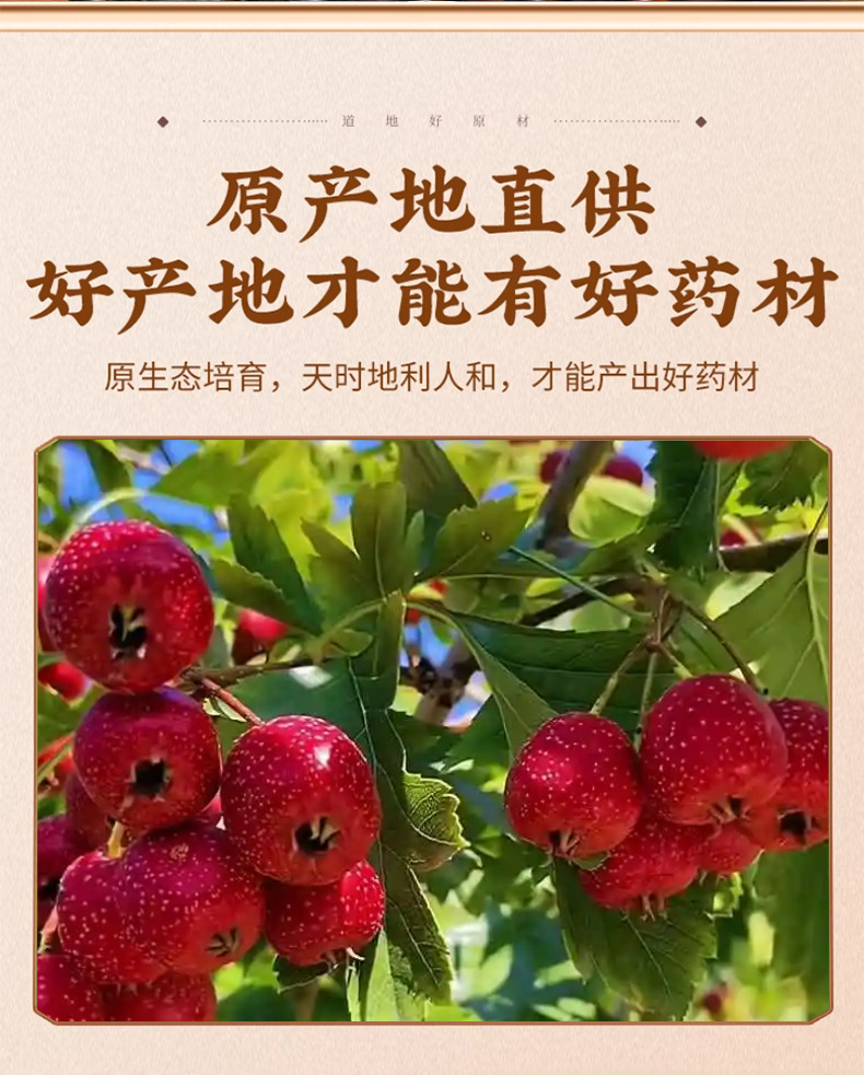 Dried Hawthorn Seeds Shan Zha He Crataegus Seeds for Pillow Filling and Craft Use 500g key features