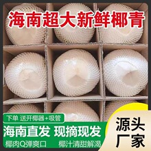 ll助农海南文昌椰青9个装新鲜椰子孕妇水果椰汁肉去皮整箱