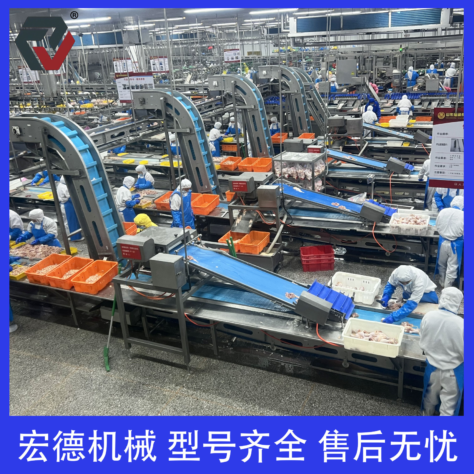 淘汰蛋鸡屠宰脱毛设备 肉鸡自动化分割流水线 小型家禽烫脱一体机