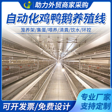 养殖鸡场自动喂料机绞龙升降上料送料投料机饮水器鸭棚舍水线料线