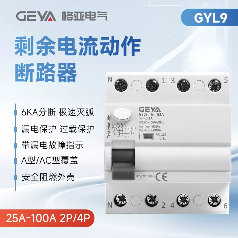 GYL9漏电保护器2P4P小型空气开关100A开关总闸剩余电流动作断路器