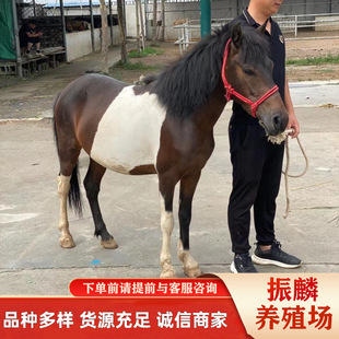 ���۳����T�˴��R�±����R���w���RƷ�N �������R �����R���U