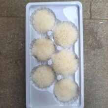 �������Gë��̦�ɾGʯ�qdiy�����bY��Ҿ��bGʯ����