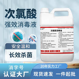 次氯酸消毒液医用级消毒剂宠物除臭杀菌酒店消毒喷雾消毒水10斤