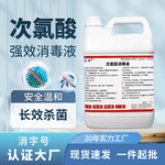 次氯酸消毒液医用级消毒剂宠物除臭杀菌酒店消毒喷雾消毒水10斤