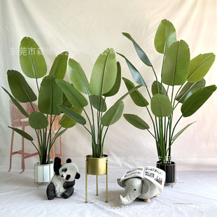 Ʒ߷Gֲָ˽Կ͏dֱVgb٘쾰