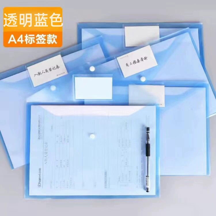 Files bag for folders, capacious storage bag for documents, custom-made, increased thickness